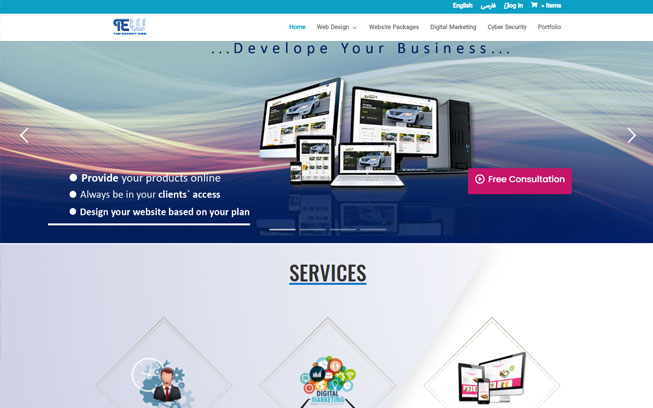 Expert Web Design Packages 