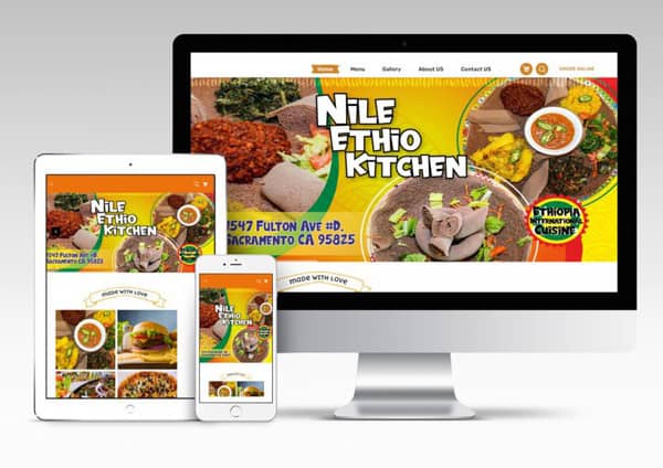 Top Experts - Nileethiokitchen.com website portfolio